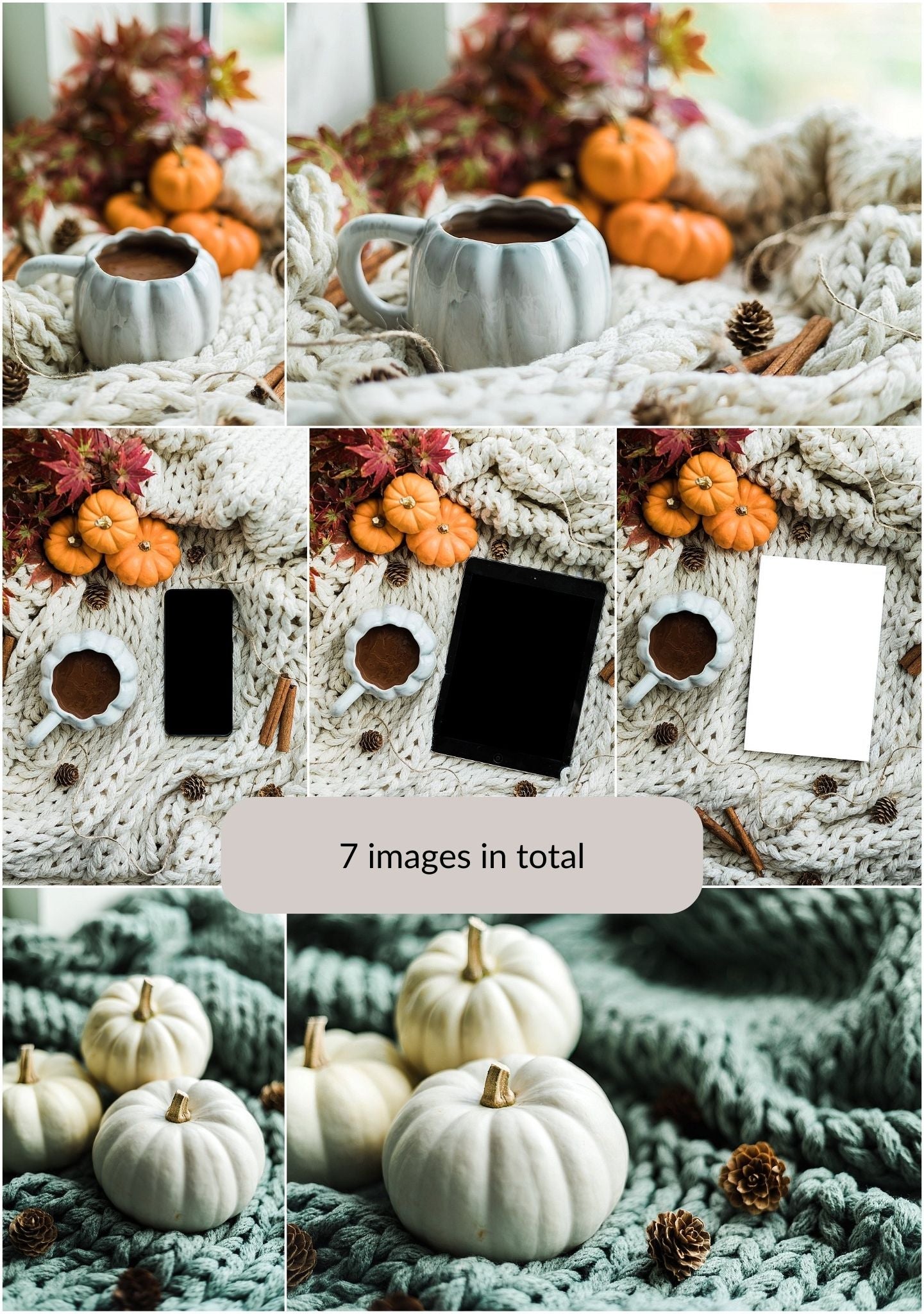 Cosy Pumpkin Collection