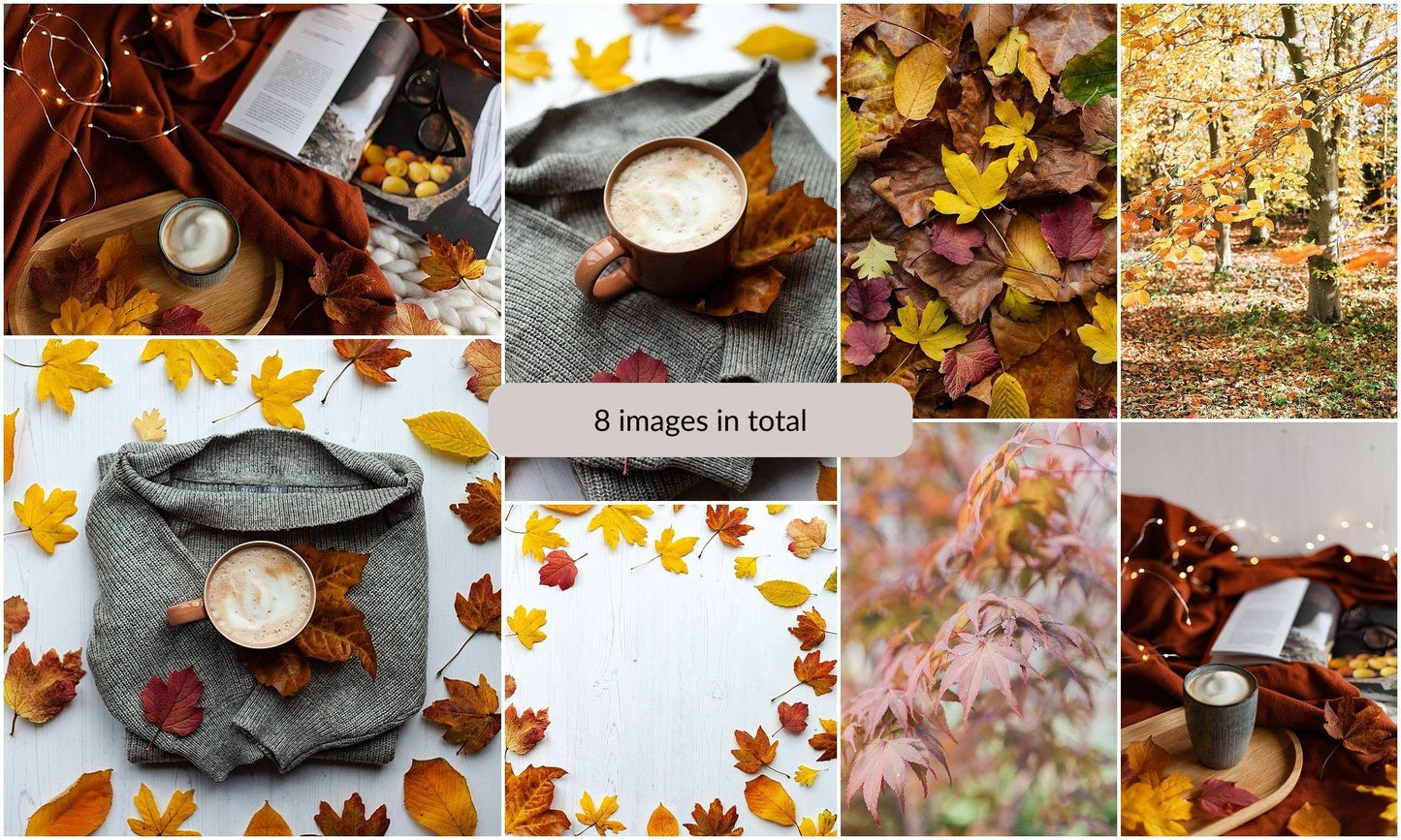 Autumnal Leaves Collection